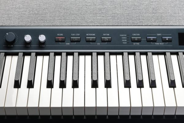 Kurzweil Ka P1 88-Key Weighted Hammer Action Digital Piano with 28 flagship Voices Power Supply Sustain Pedal