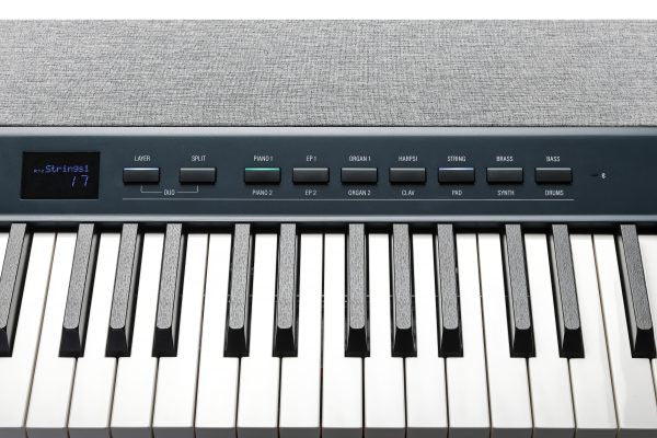 Kurzweil Ka P1 88-Key Weighted Hammer Action Digital Piano with 28 flagship Voices Power Supply Sustain Pedal
