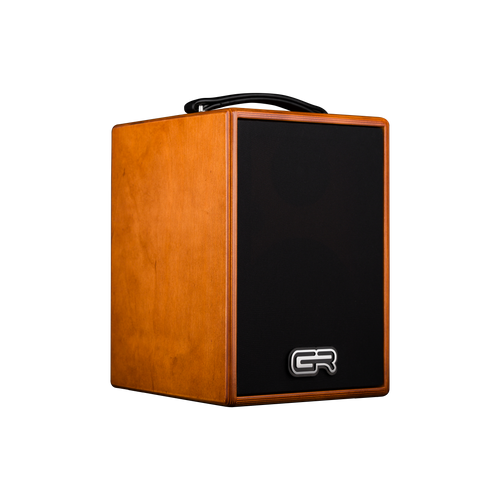 GR Audio WD Acoustic 6 guitar amplifier