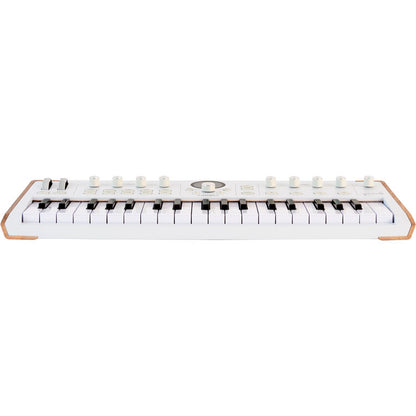 Arturia Astrolab 37 Avant-Garde Stage Keyboard