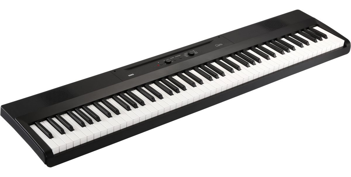 Korg L1 Liano 88-Key Portable Digital Piano - Black