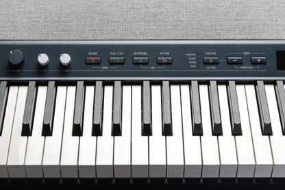 Kurzweil Ka P1 88-Key Weighted Hammer Action Digital Piano with 28 flagship Voices  Power Supply  Sustain Pedal