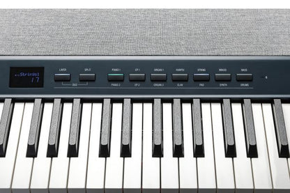 Kurzweil Ka P1 88-Key Weighted Hammer Action Digital Piano with 28 flagship Voices  Power Supply  Sustain Pedal