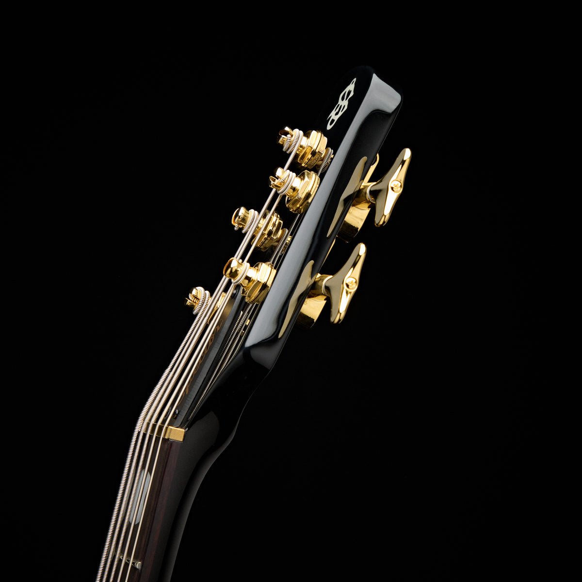 Spector Icon NS-5 Neck Through Black Stain 5 string bass