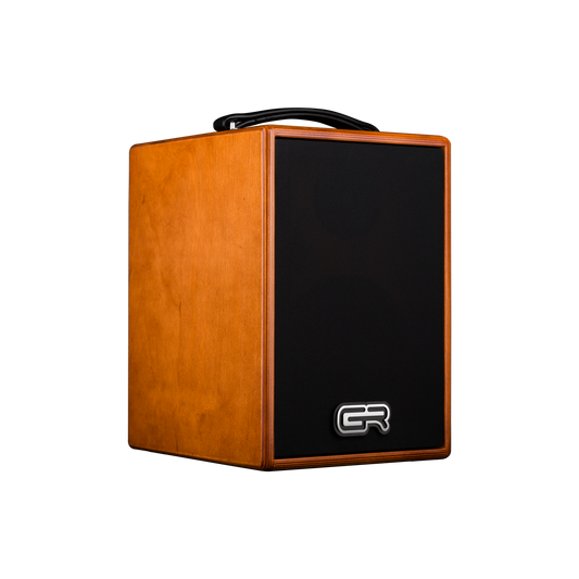 GR Audio WD Acoustic 6 guitar amplifier