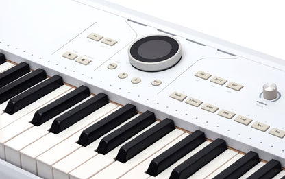 Arturia AstroLab 61 Avant-Garde Stage Keyboard with Analog Lab Pro — Open Box