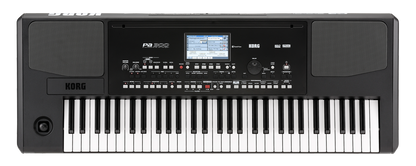 Korg PA300 PA 300 Arranger keyboard 61 note