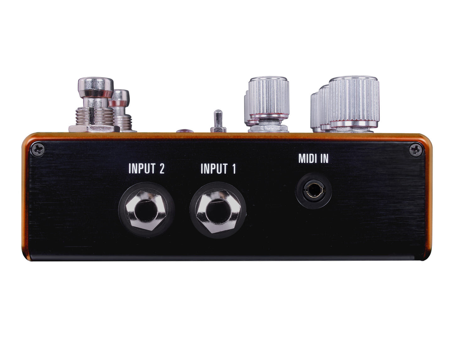Source Audio Pathways Reverb + Tremolo Pedal