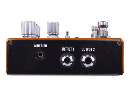 Source Audio Pathways Reverb + Tremolo Pedal
